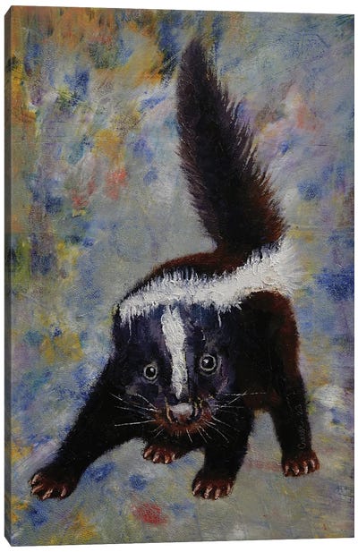 Baby Skunk Canvas Art Print - Michael Creese