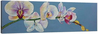 Moon Orchids Canvas Art Print - Orchid Art
