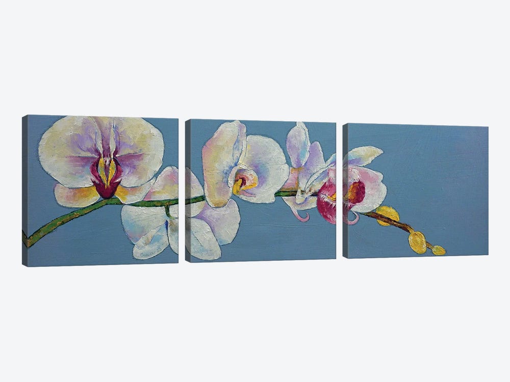 Moon Orchids by Michael Creese 3-piece Canvas Wall Art
