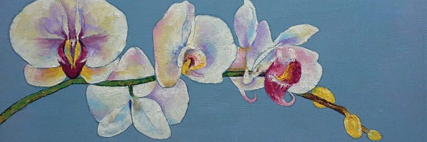 Orchids: Moon Orchids by Michael Creese