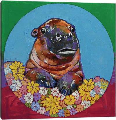Baby Hippo Canvas Art Print - Michael Creese