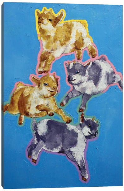 Baby Goats Canvas Art Print - Michael Creese