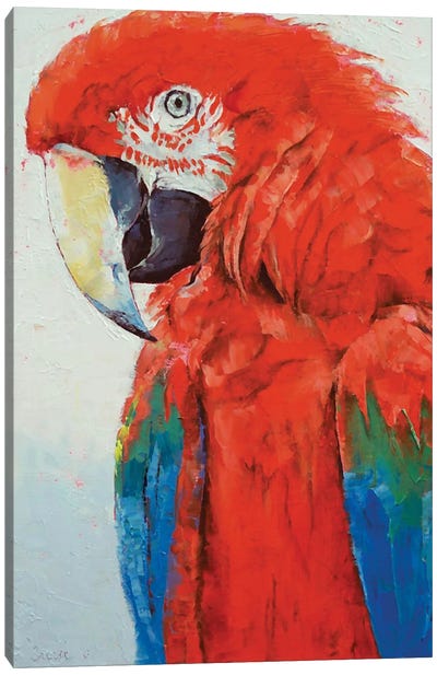 Crimson Macaw Canvas Art Print - Red Art