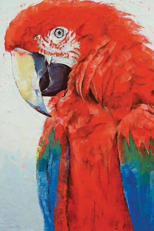 Crimson Macaw by Michael Creese wall art