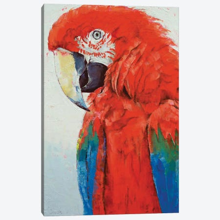 Crimson Macaw Canvas Print #MCR392} by Michael Creese Canvas Print