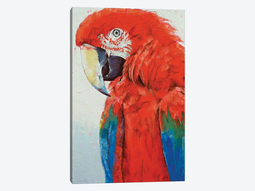 Crimson Macaw by Michael Creese 1-piece Canvas Artwork