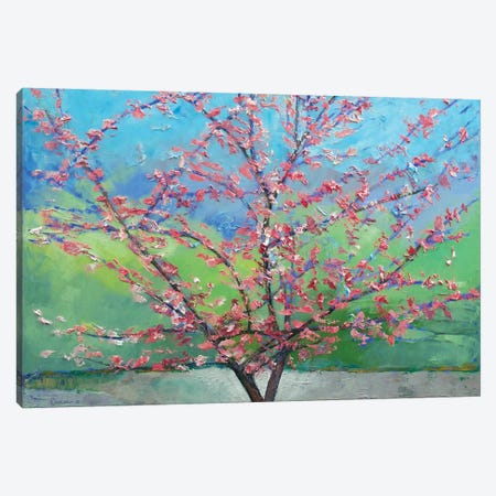 Eastern Redbud Tree Canvas Print #MCR39} by Michael Creese Canvas Art Print