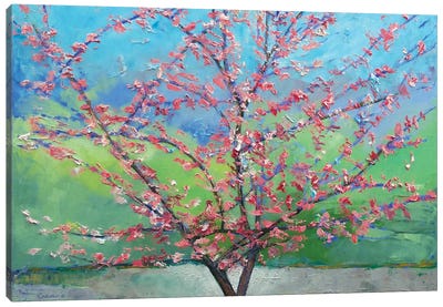 Eastern Redbud Tree Canvas Art Print - Tree Close-Up Art