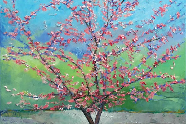 Tree Close-Ups: Eastern Redbud Tree by Michael Creese