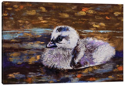 Duckling Canvas Art Print - Duck Art
