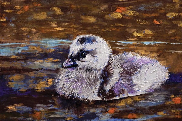 Ponds: Duckling by Michael Creese