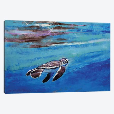 Baby Sea Turtle Canvas Print #MCR405} by Michael Creese Canvas Artwork