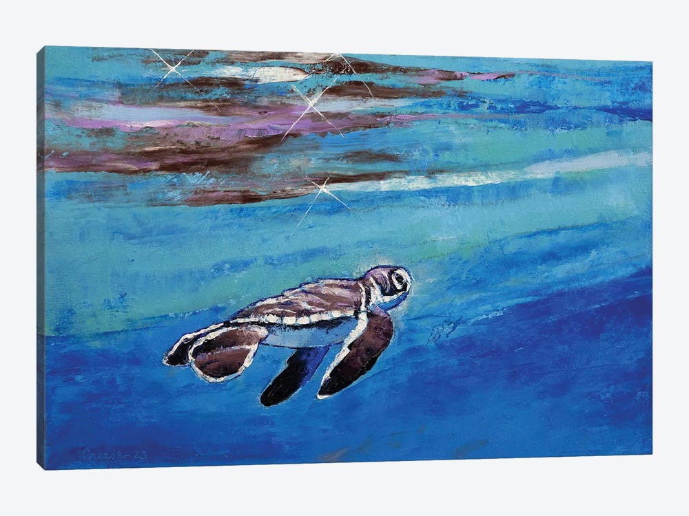 Baby Sea Turtle by Michael Creese 1-piece Canvas Art Print
