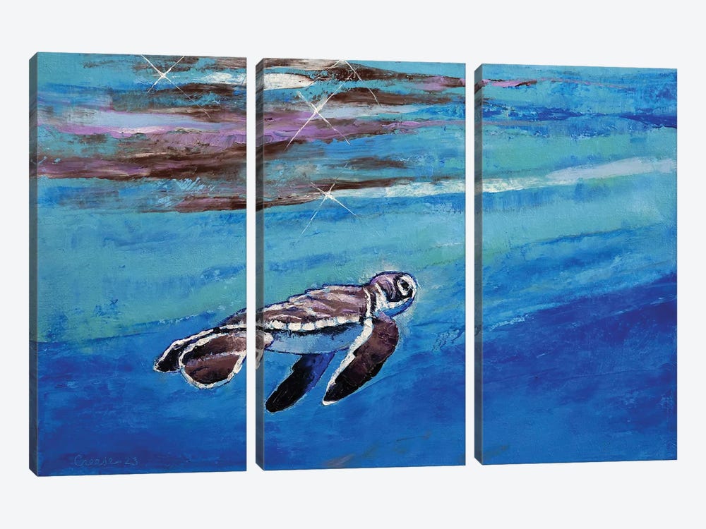 Baby Sea Turtle by Michael Creese 3-piece Art Print