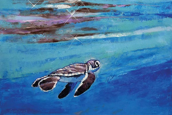 Turtles: Baby Sea Turtle by Michael Creese