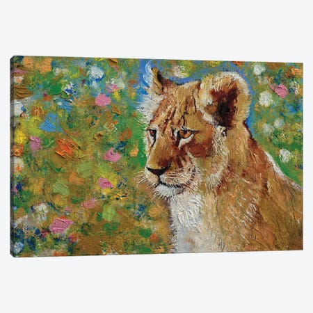 Young Lion Canvas Print #MCR406} by Michael Creese Canvas Artwork