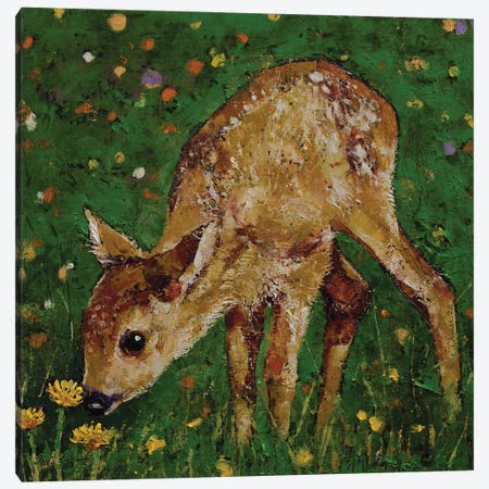 Fawn With Dandelions Canvas Print #MCR413} by Michael Creese Canvas Wall Art