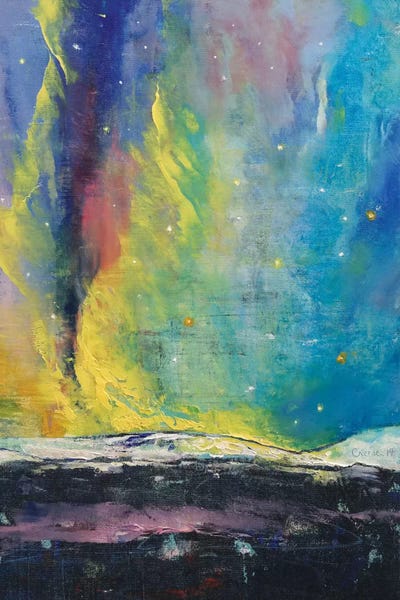 Aurora Borealis: Arctic Lights by Michael Creese