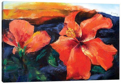 Hibiscus Volcano Canvas Art Print - Hibiscus Art