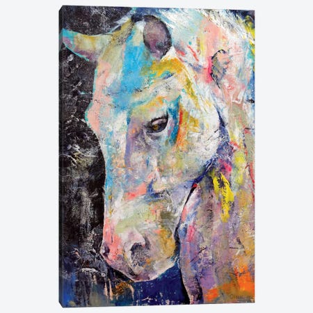Hidden Heart Horse Canvas Print #MCR52} by Michael Creese Art Print