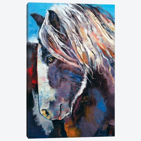 Highland Pony Canvas Print #MCR54} by Michael Creese Canvas Wall Art