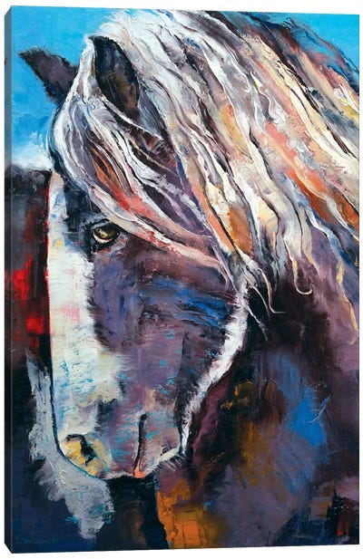 Highland Pony Canvas Art Print - Michael Creese