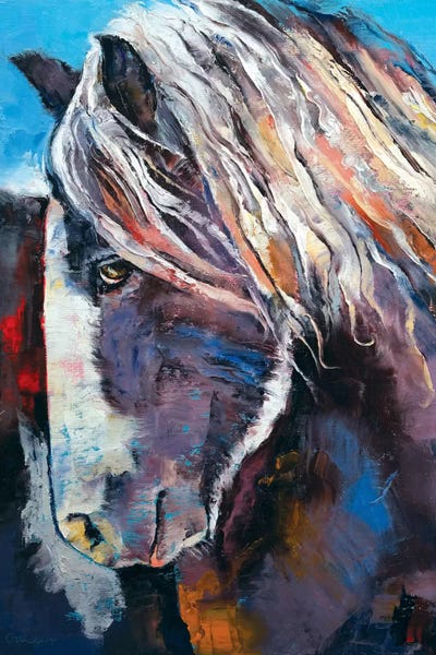 Highland Pony