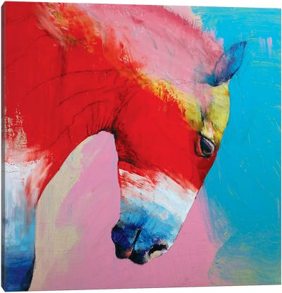 Horse Canvas Art Print - Michael Creese