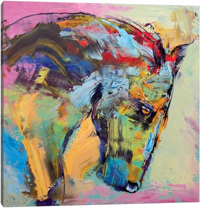 Horse Study Canvas Art Print - Michael Creese