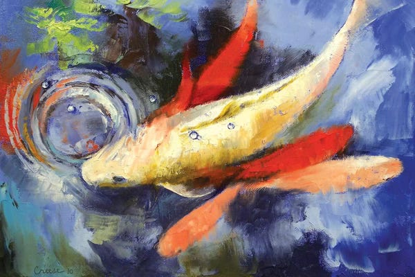 Koi: Koi And Water Ripples by Michael Creese