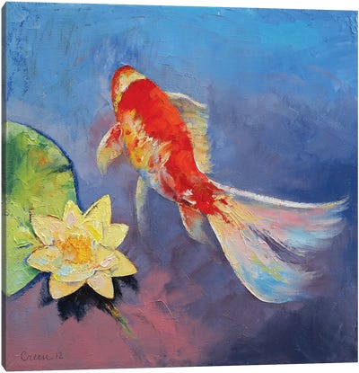 Koi On Blue And Mauve Canvas Art Print - Koi Fish Art