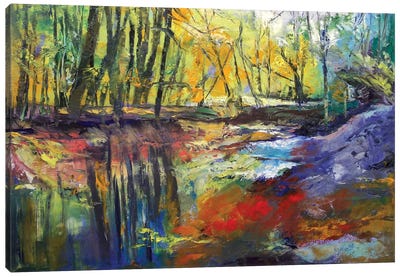 Little Sewickley Creek, 2008 Canvas Art Print - Michael Creese