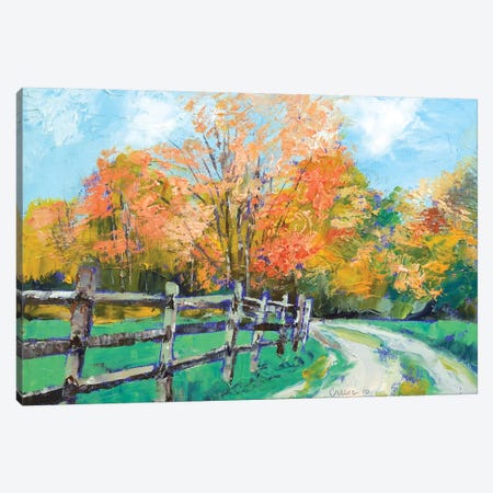 Old Country Road Canvas Print #MCR81} by Michael Creese Canvas Artwork