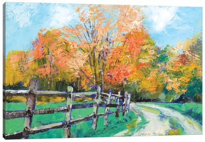 Old Country Road Canvas Art Print - Michael Creese