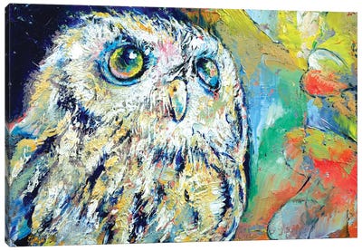 Owl Canvas Art Print - Michael Creese