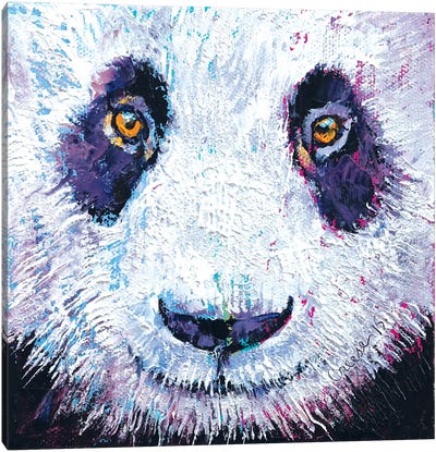 Panda Canvas Art Print - Michael Creese