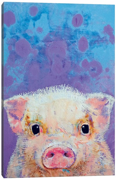 Piglet Canvas Art Print - Michael Creese