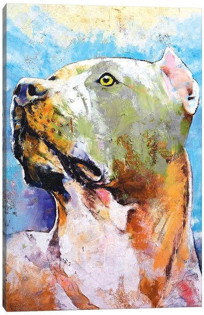 Pit Bull Canvas Art Print - Michael Creese