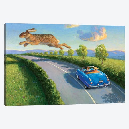 Game Pass Canvas Print #MCS11} by Michael Sowa Canvas Wall Art