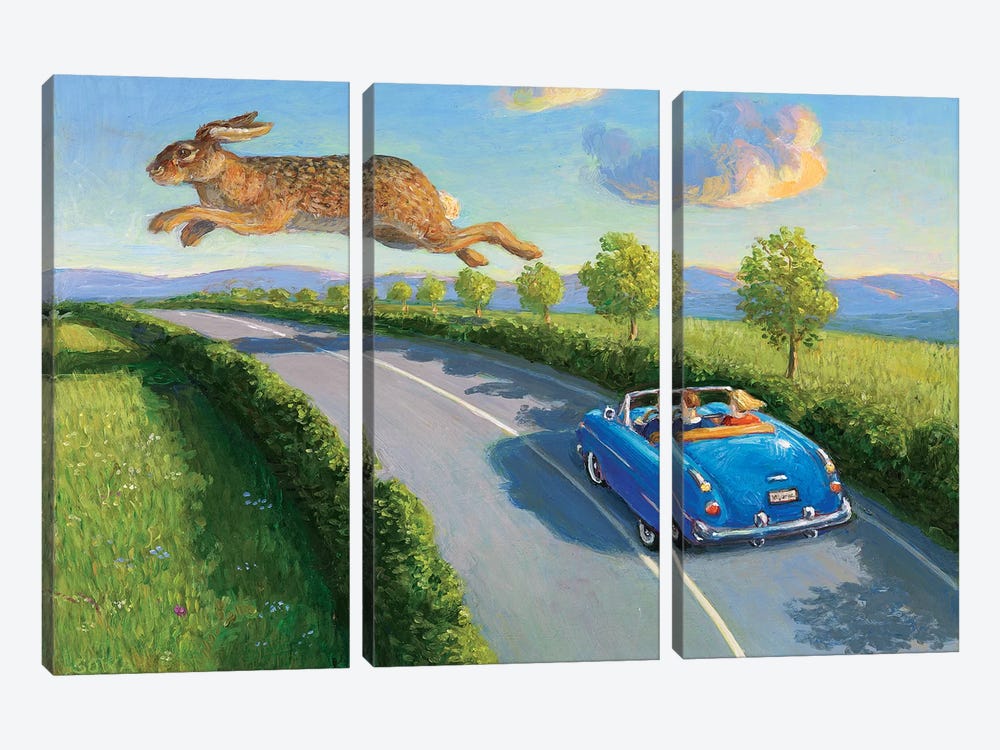 Game Pass by Michael Sowa 3-piece Canvas Wall Art