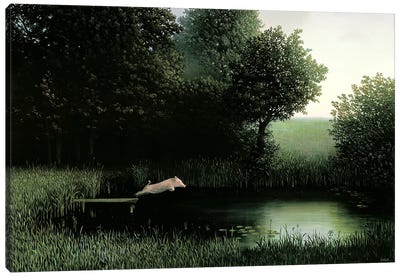 Koehler's Pig I Canvas Art Print - Marsh & Swamp Art