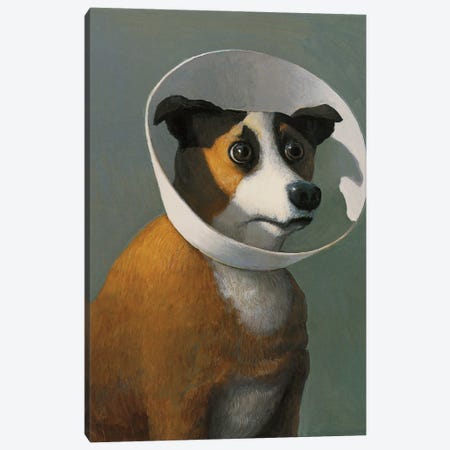 Ill Dog Amelie Canvas Print #MCS56} by Michael Sowa Art Print