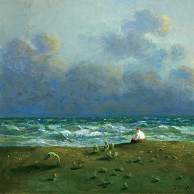 Costa de las Lagrimas by Michael Sowa framed canvas print