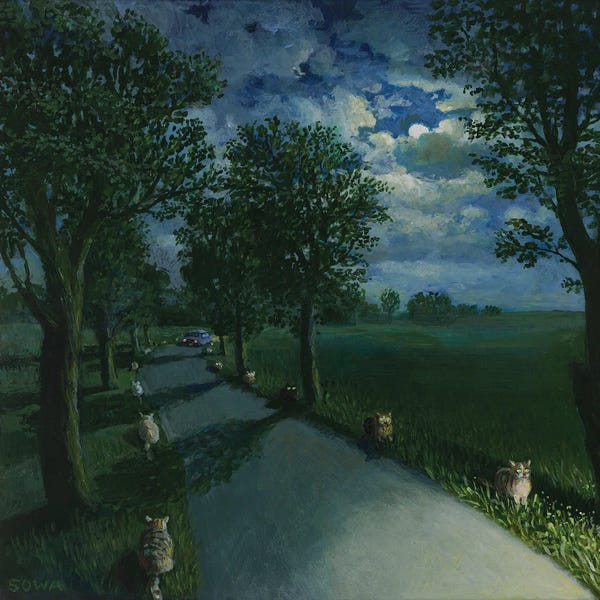 Nothing To See Here...: Track Assistants by Michael Sowa