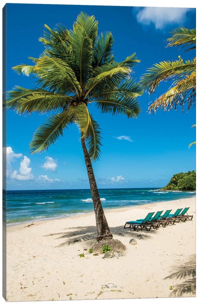Carambola Beach Resort Beach, St. Croix, Us Virgin Islands. Canvas Art Print - Caribbean Art
