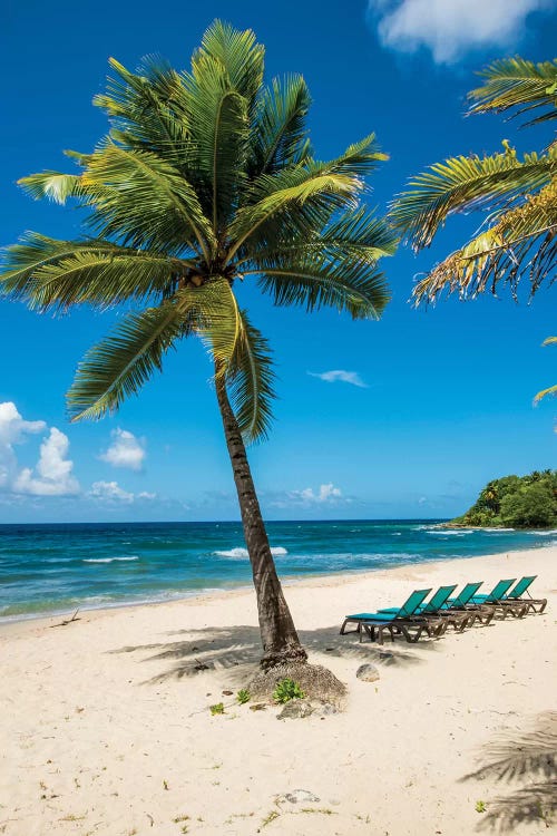 Carambola Beach Resort Beach, St. Croix, Us Virgin Islands.