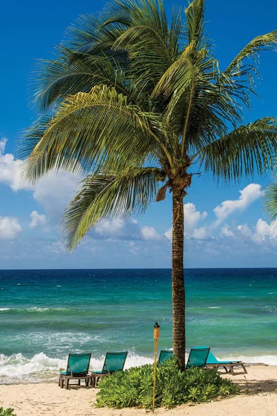 Carambola Beach Resort Beach, St. Croix, Us Virgin Islands. by Michael DeFreitas canvas print