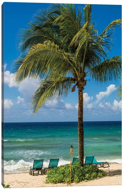 Carambola Beach Resort Beach, St. Croix, Us Virgin Islands. Canvas Art Print - US Virgin Islands