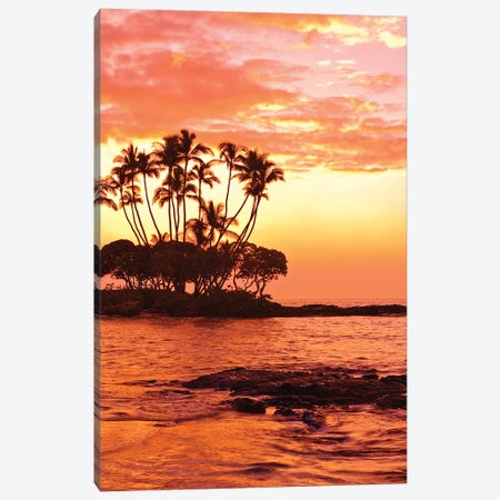 Tropical Sunset, Big Island, Hawai'i, USA Canvas Print #MDE5} by Michael DeFreitas Canvas Wall Art