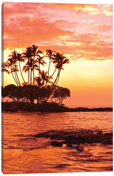 Tropical Sunset, Big Island, Hawai'i, USA Canvas Art Print - The Big Island (Island of Hawai'i)